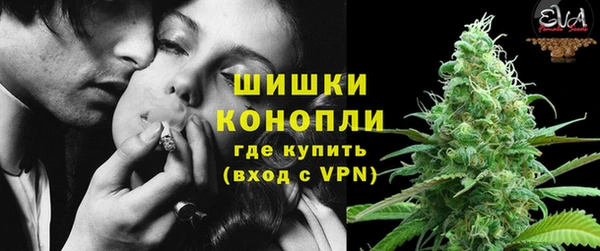 ПСИЛОЦИБИНОВЫЕ ГРИБЫ Алексин