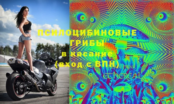 ПСИЛОЦИБИНОВЫЕ ГРИБЫ Алексин