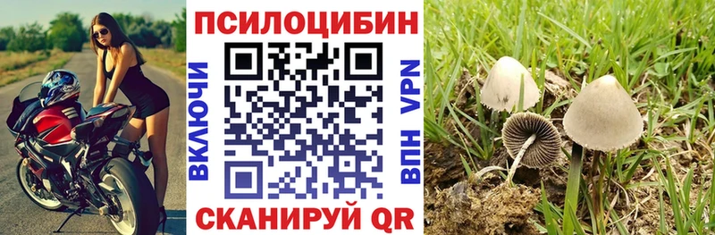 Псилоцибиновые грибы Psilocybine cubensis  Купить где  Петухово 